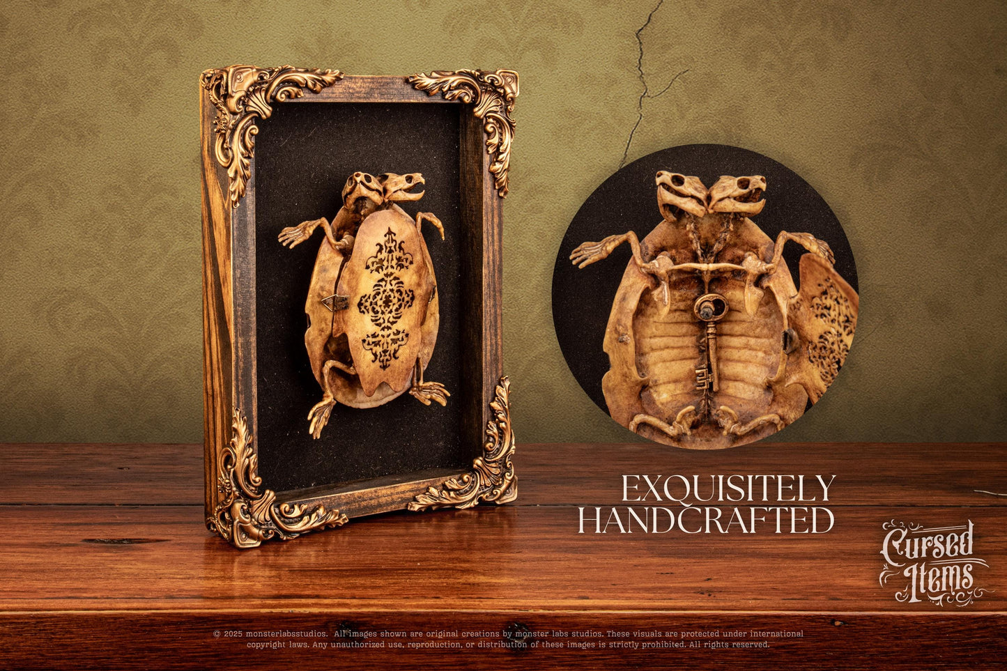 Two-Headed Turtle Oddity