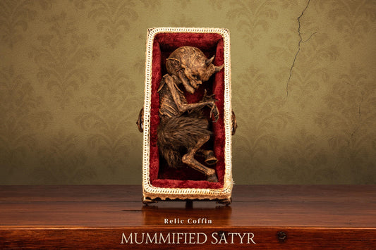 Mummified Satyr Specimen