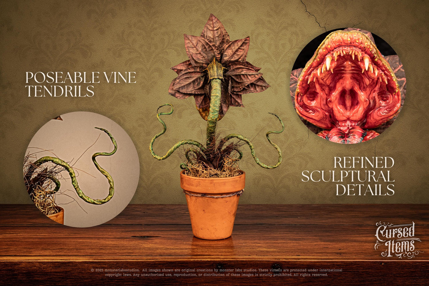 Carnivorous Plant