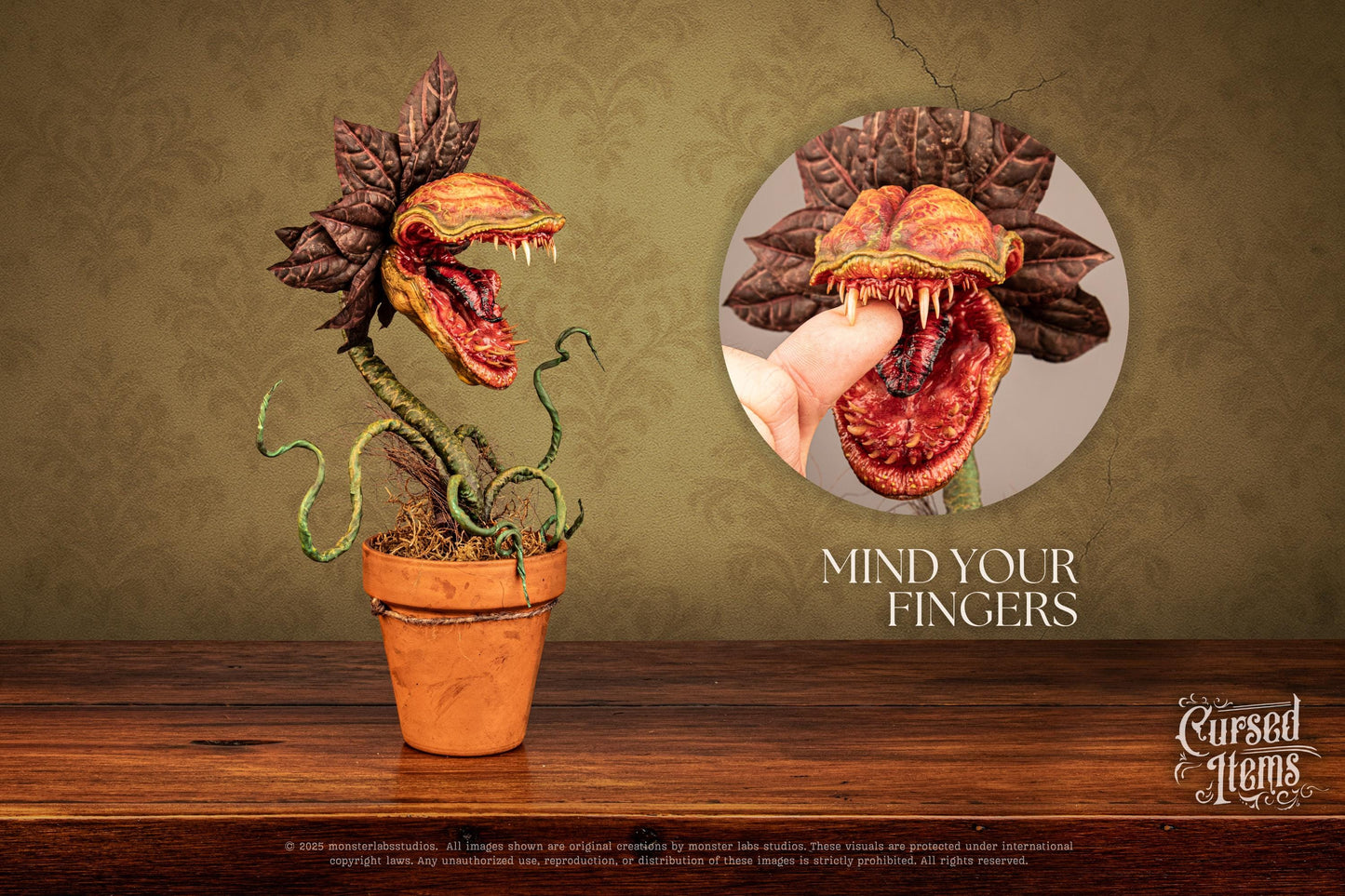 Carnivorous Plant
