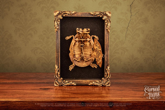 Two-Headed Turtle Oddity