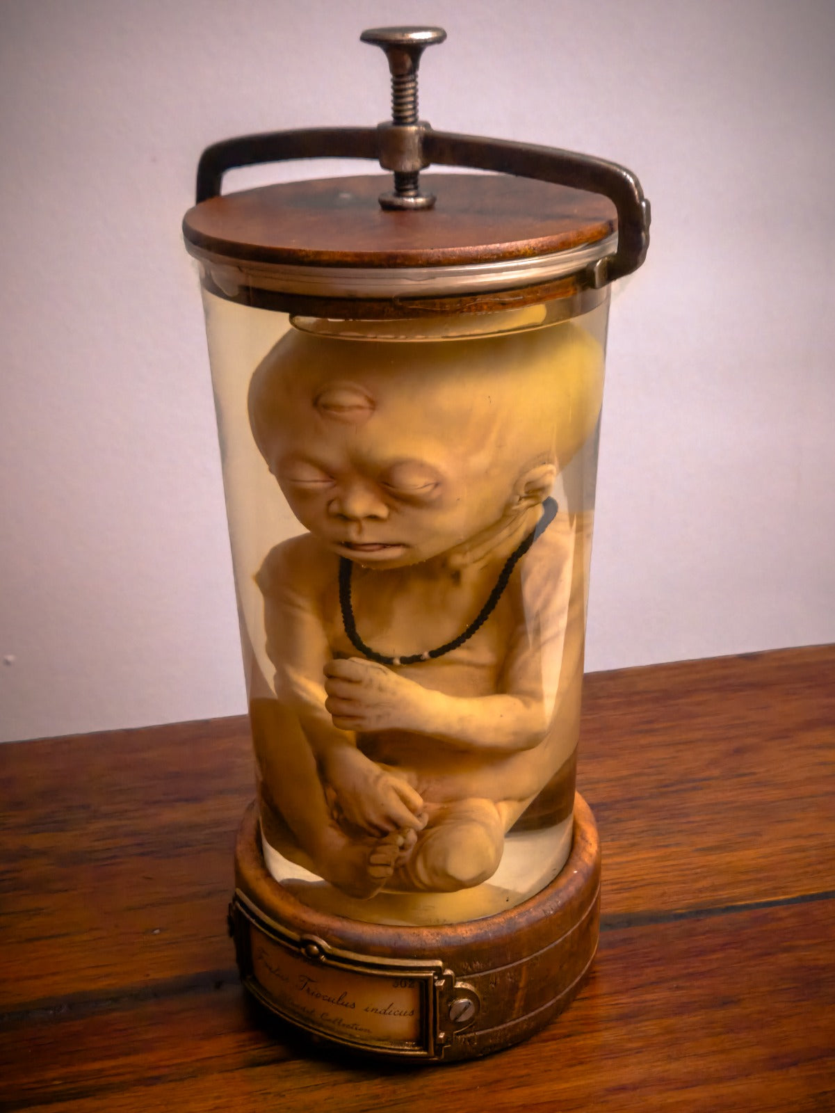Trioculus Fetus, Three-Eyed Specimen Jar