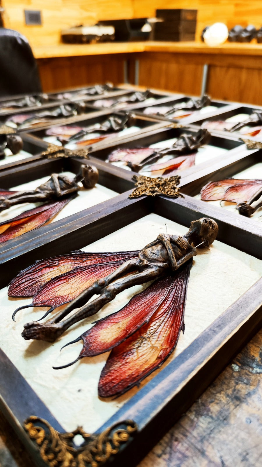 Display case with taxidermy fairies and decorative elements on a wooden shelf.