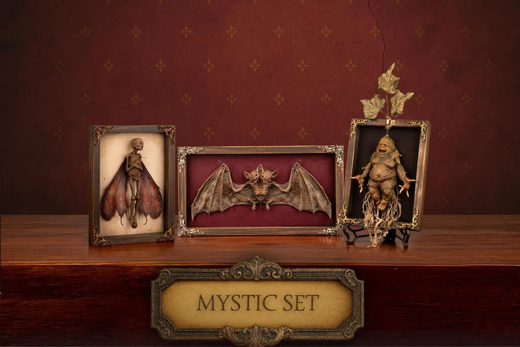Framed Preserved Specimens