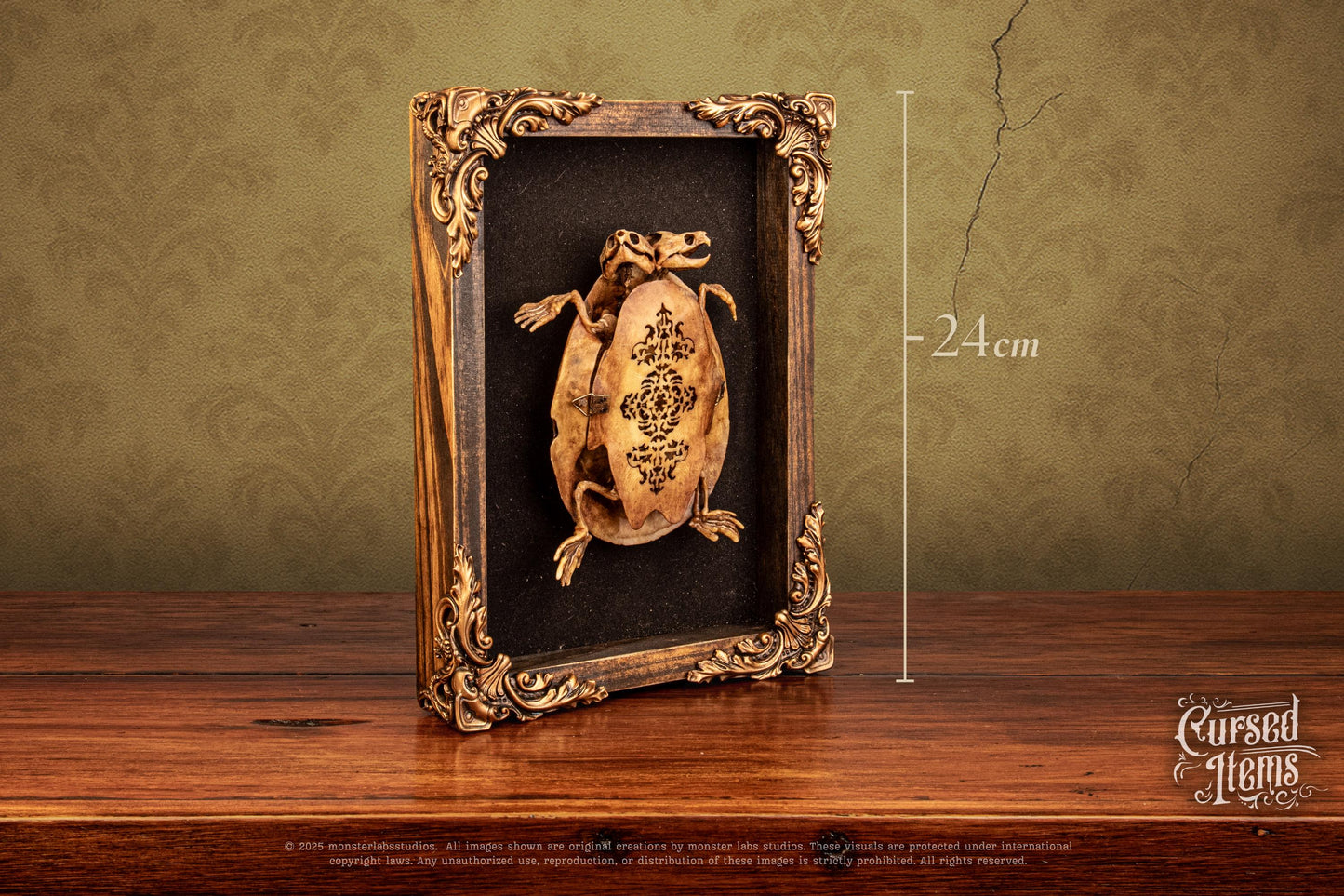 Two-Headed Turtle Oddity