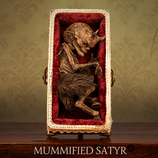 Mummified Satyr Specimen
