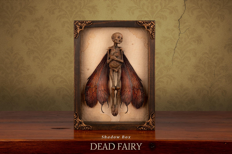 Dead Fairy Shadow Box