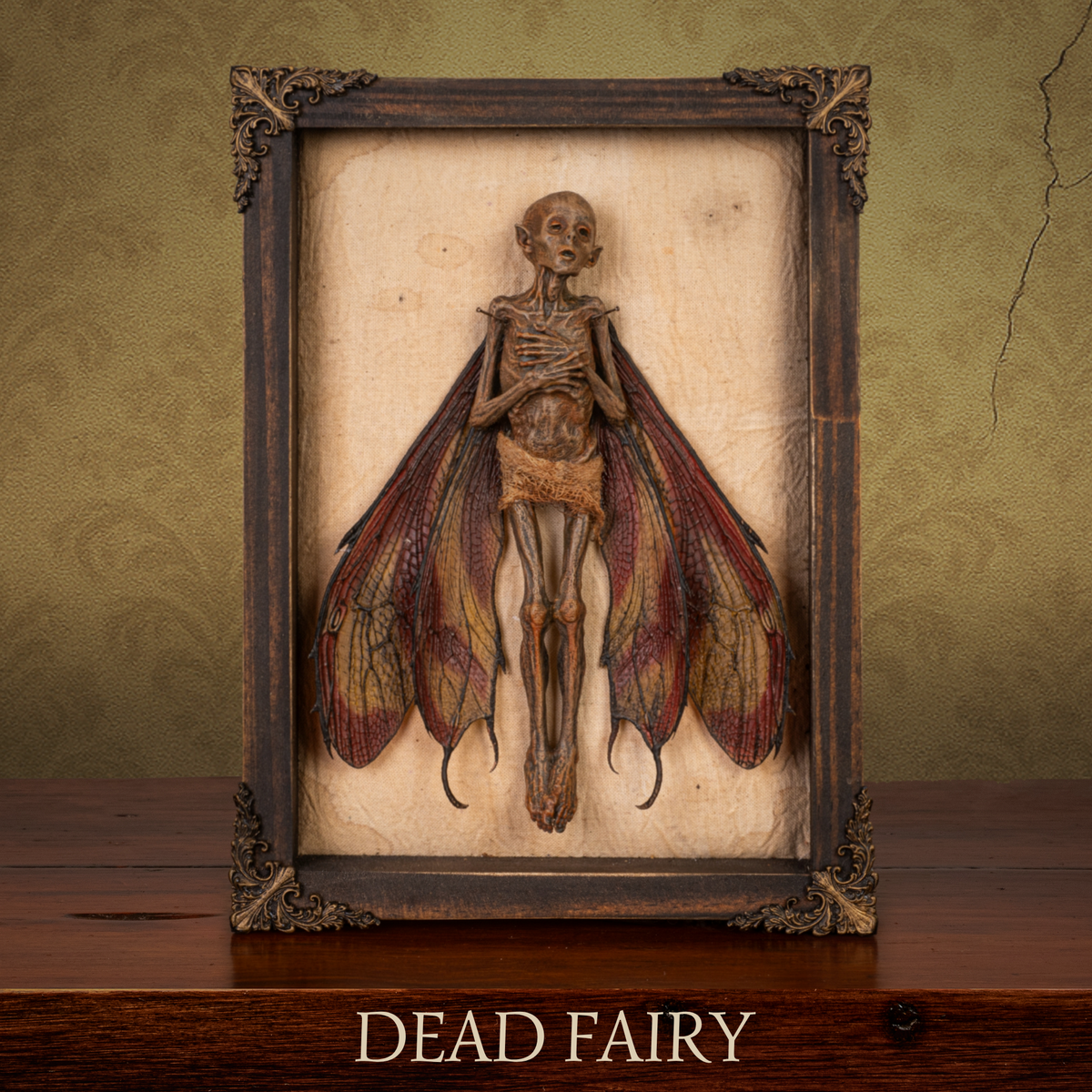 Dead Fairy Shadow Box