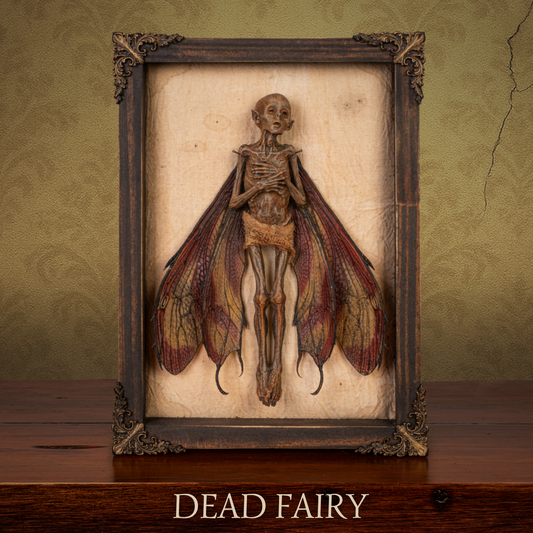 Dead Fairy Shadow Box