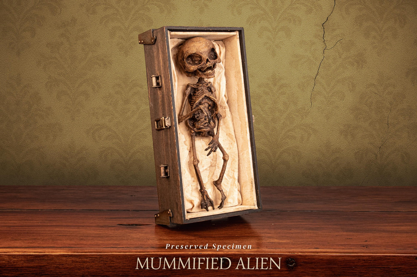 Mummified Alien Specimen