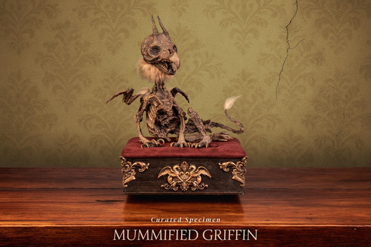 Mummified Griffin Specimen