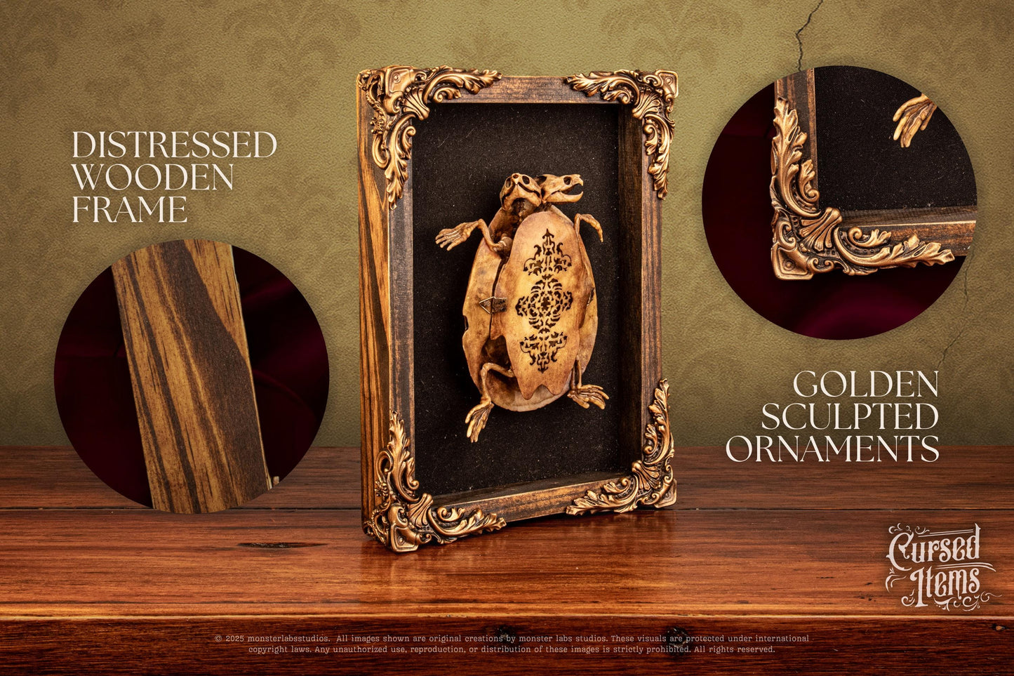 Two-Headed Turtle Oddity