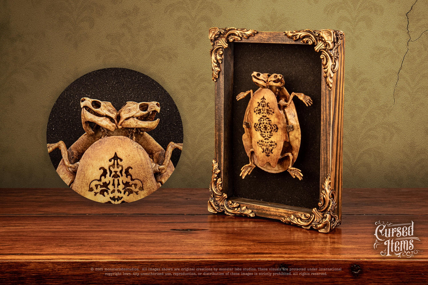 Two-Headed Turtle Oddity