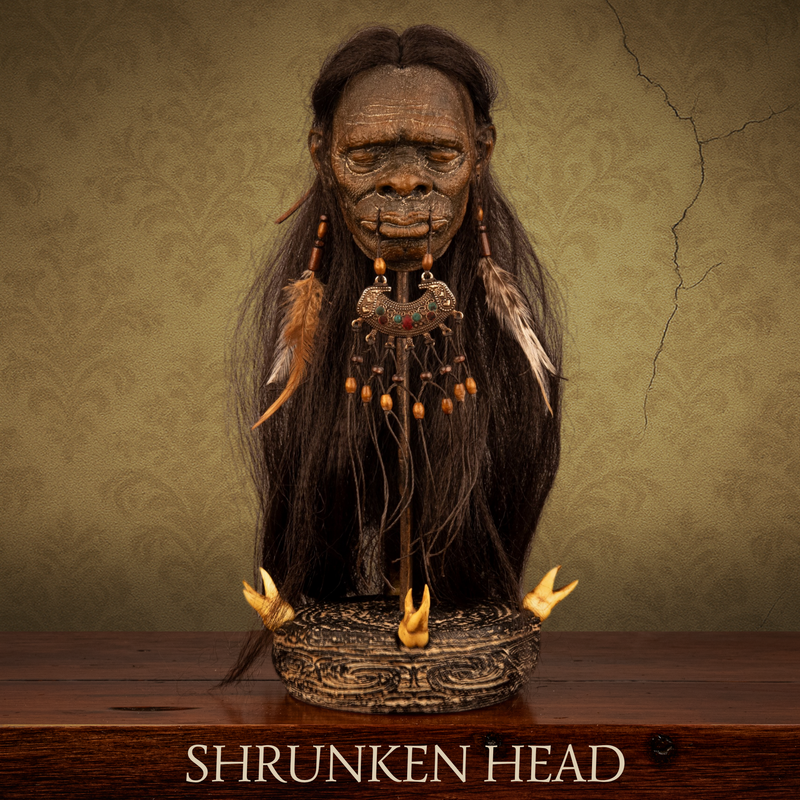 Shuar Shrunken Head