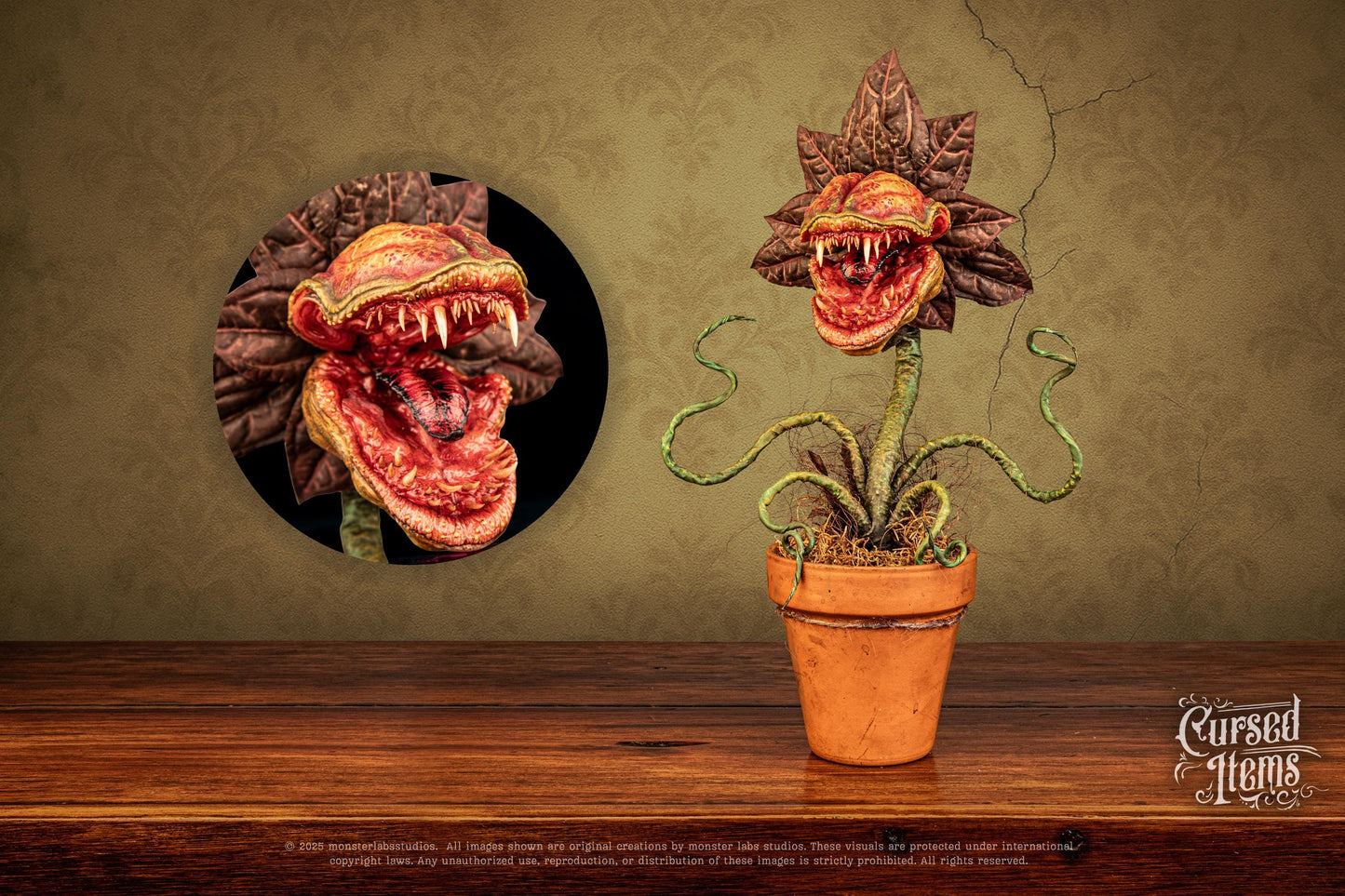 Carnivorous Plant
