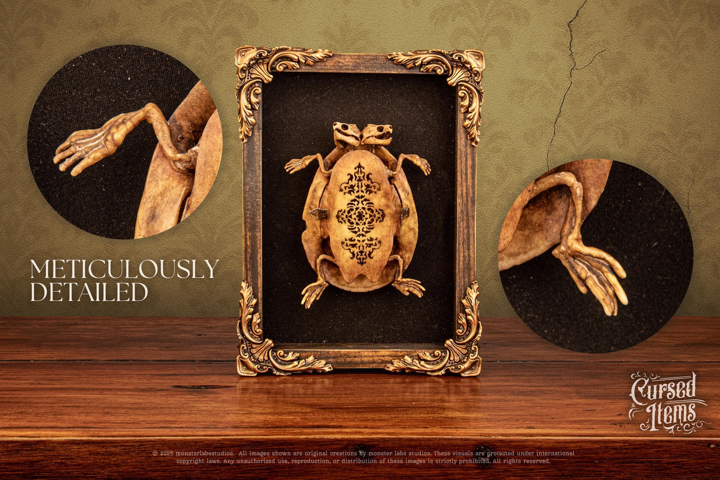 Two-Headed Turtle Oddity