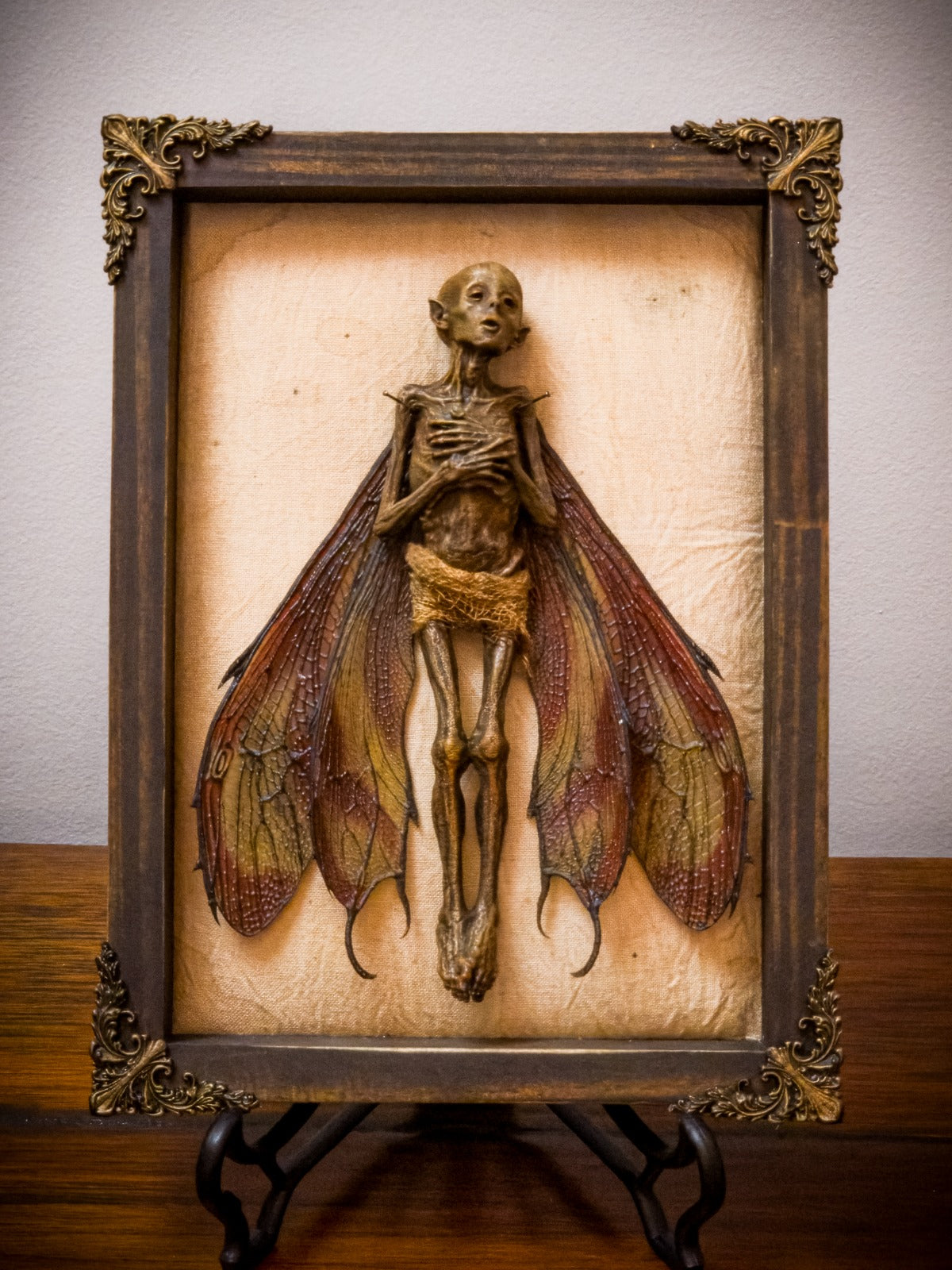 Dead Fairy Shadow Box, Updated Edition