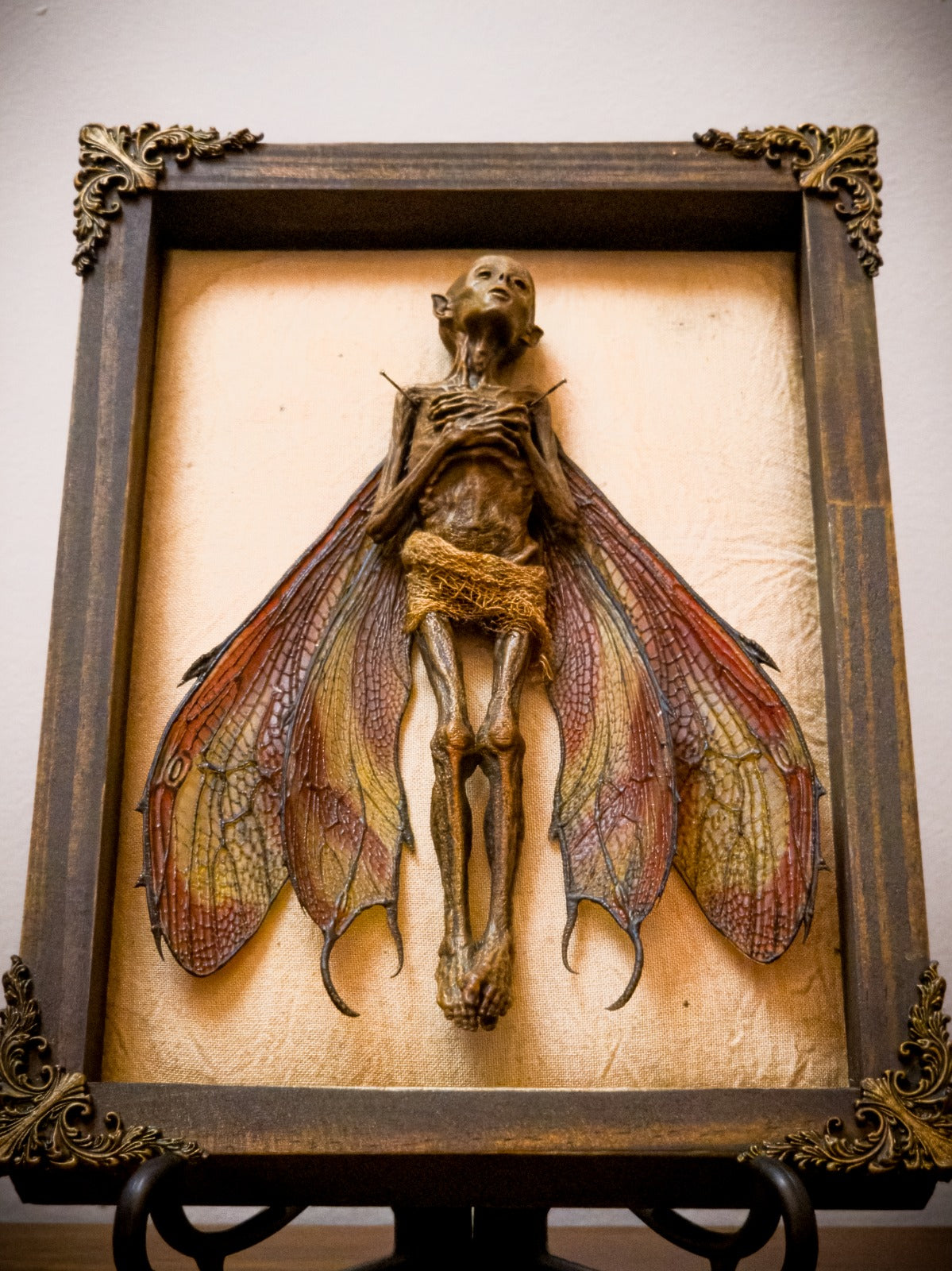 Dead Fairy Shadow Box, Updated Edition