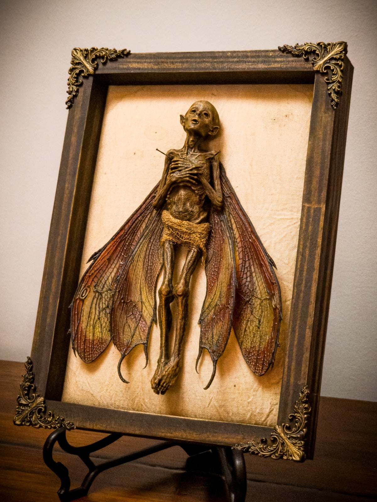 Dead Fairy Shadow Box, Updated Edition