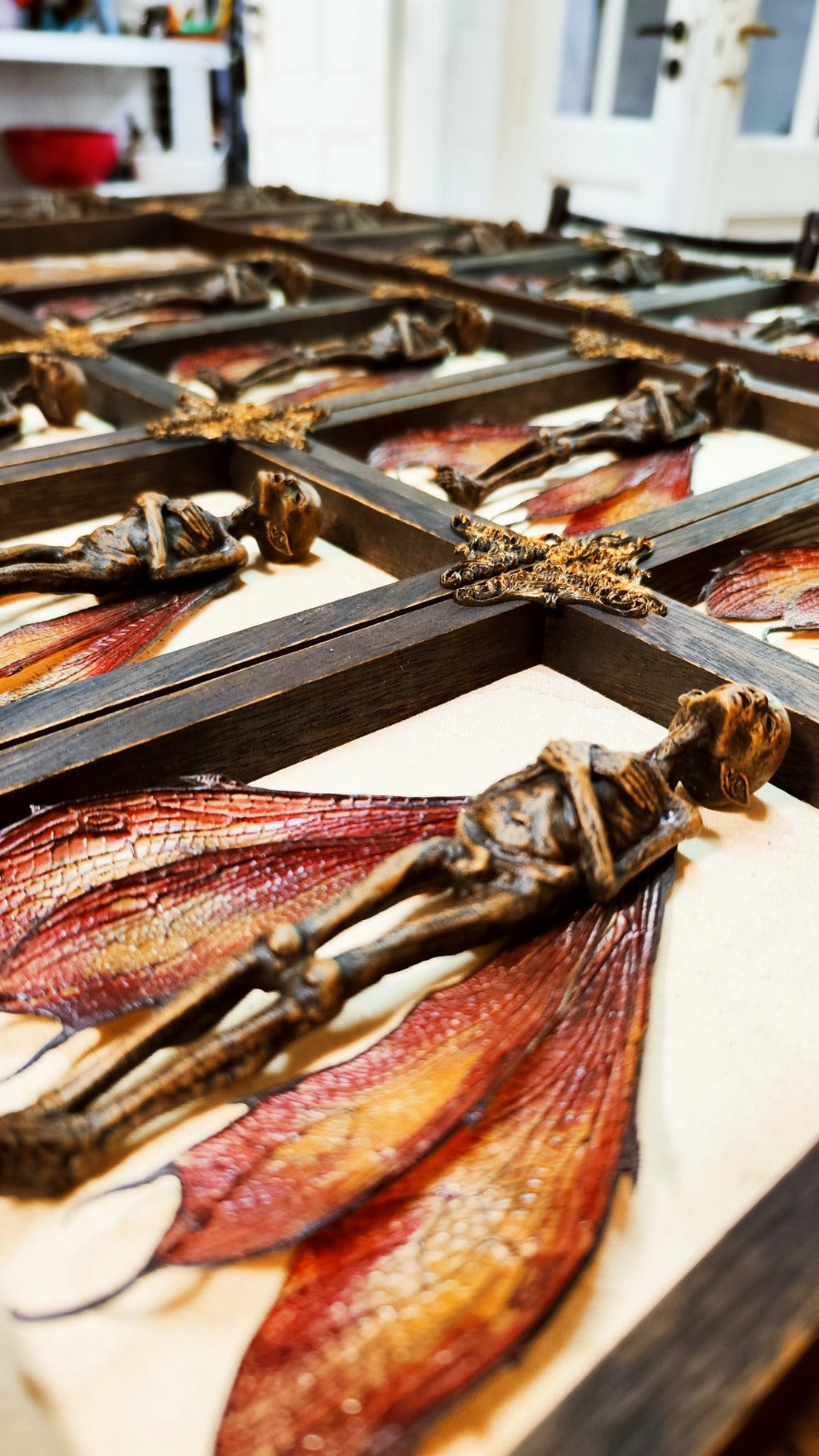 Row of mummified dead faeries on wooden ornated frames