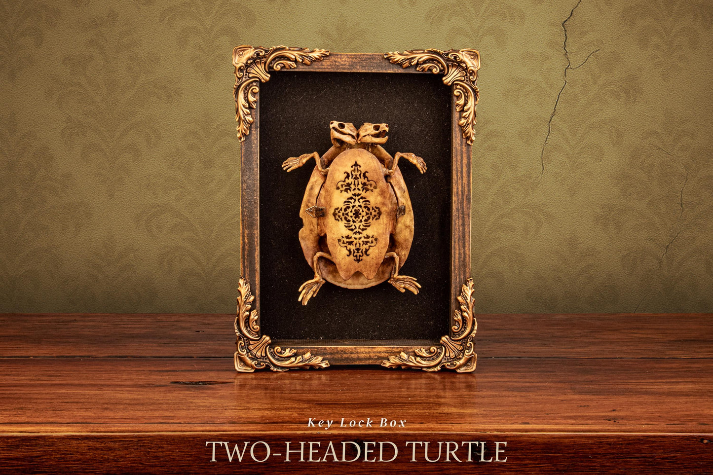 Two-Headed Turtle Oddity