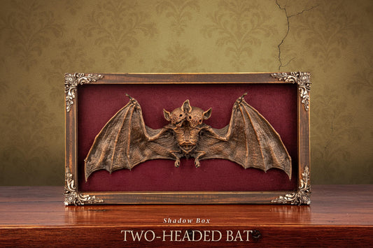 Two-Headed Bat Shadow Box